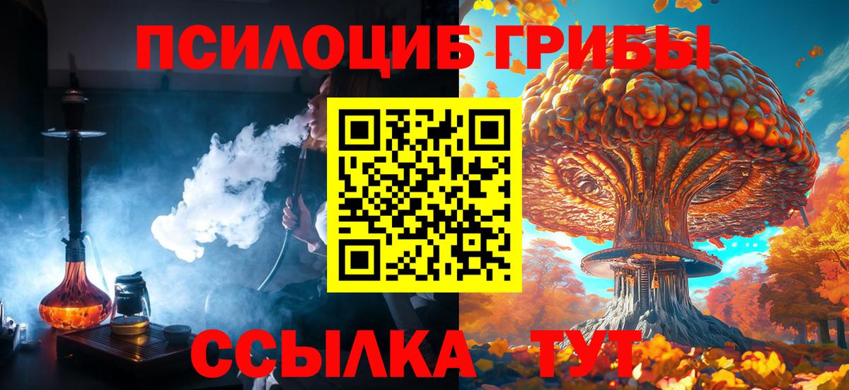 Псилоцибиновые грибы Magic Shrooms  как найти наркотики  Шадринск  Галлюциногенные грибы прущие грибы  Вход с VPN 