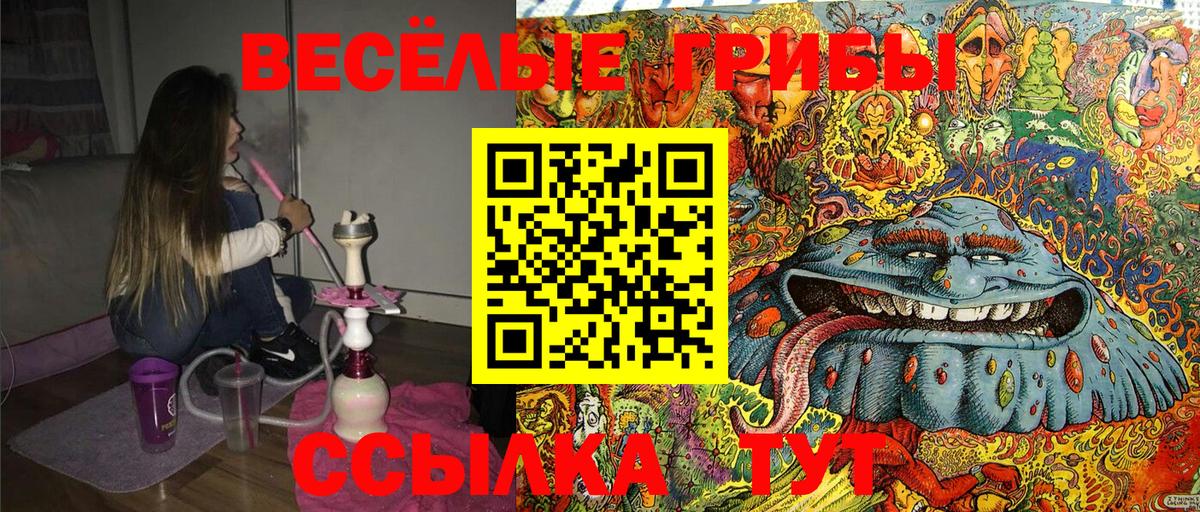 Псилоцибиновые грибы Magic Shrooms Шадринск