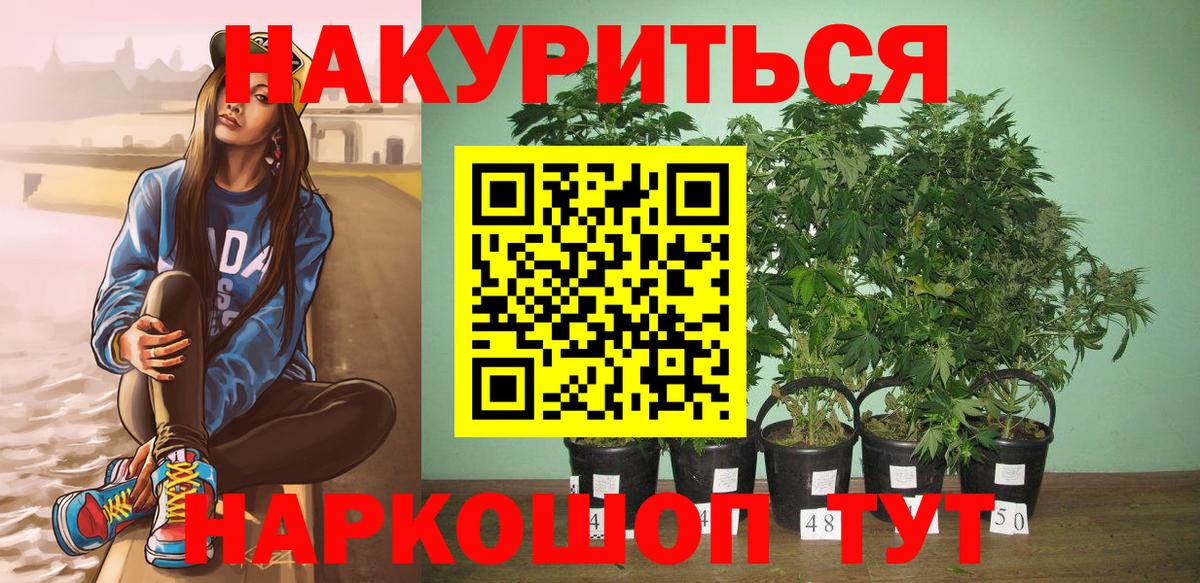 Шадринск  Марихуана VHQ  Бошки марихуана конопля  Вход с VPN  Канабис White Widow 